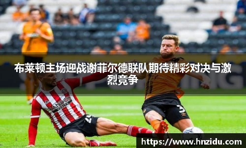 布莱顿主场迎战谢菲尔德联队期待精彩对决与激烈竞争